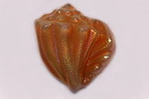 Conch Paperweight photo